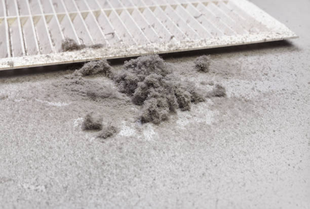 Best Local Air Duct Cleaning Services  in Gibbstown, NJ