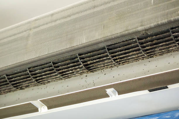Best Air Duct Cleaning Near Me  in Gibbstown, NJ